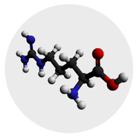 L-Arginine