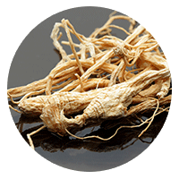 Korean Ginseng