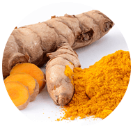 Longvida Optimized Curcumin