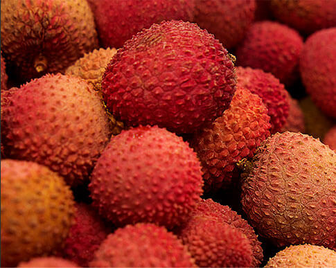 Litchi