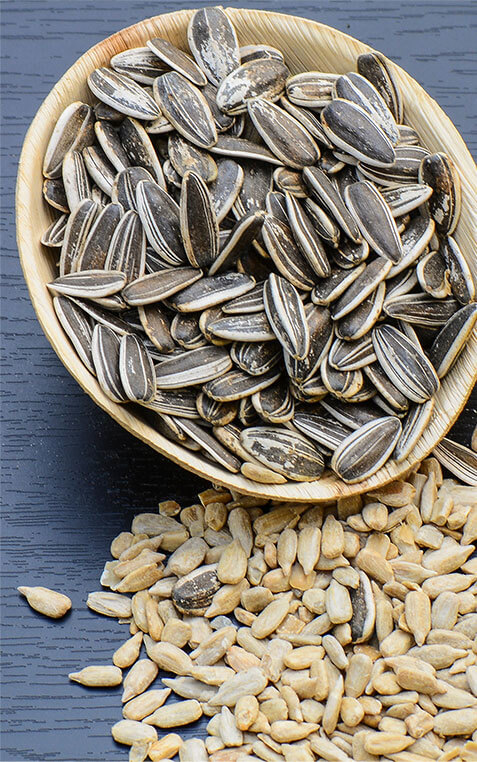 Sunflower Seeds