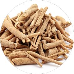 Ashwagandha Extract