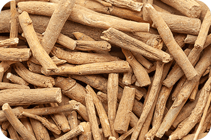 Ashwagandha Root