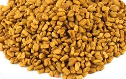 Fenugreek Seed