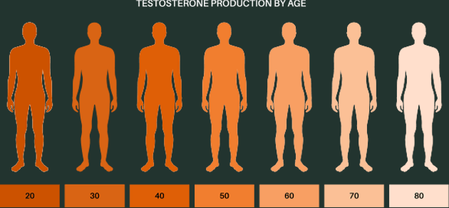 Testosterone Production By Age