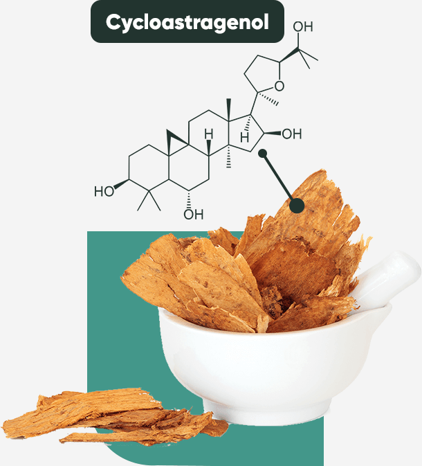 Cycloastragenol