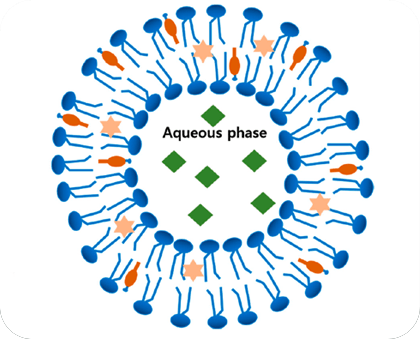 Aqueous Phase