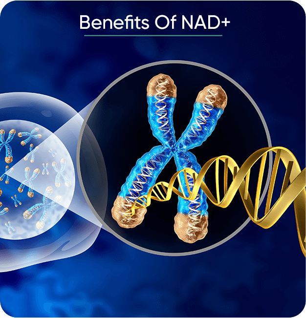 Benefits Of NAD+