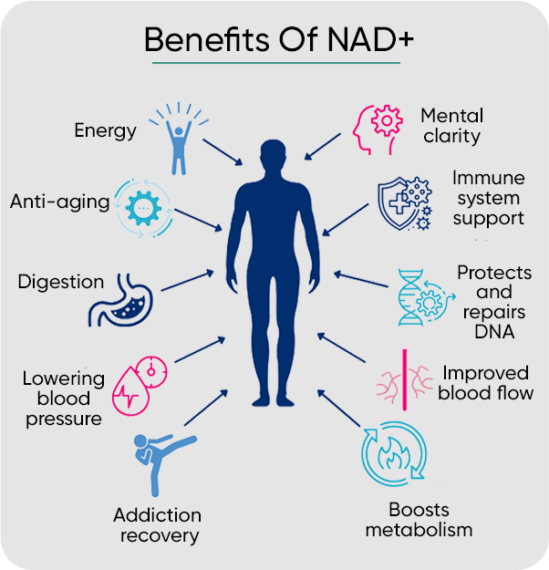 Benefits Of NAD+