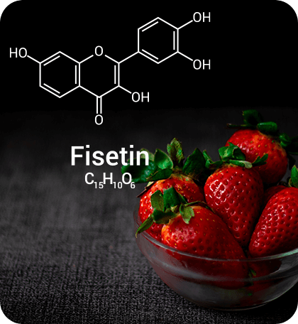 Fisetin as Strawberries