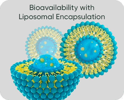 Bioavailability with Liposomal Encapsulation